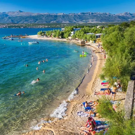 Apartman Pavle *