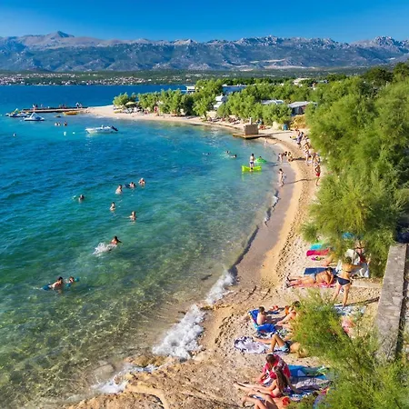 Apartman Pavle *